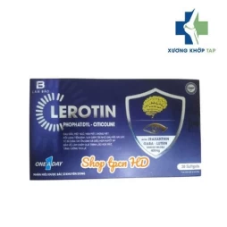 Lerotin - Hỗ trợ quá trình hồi phục sau tai biến mạch máu não